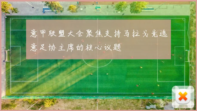 意甲联盟大会聚焦支持马拉戈竞选意足协主席的核心议题